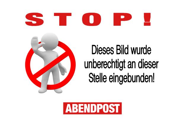 CDU, GRUENE, SPD, AFD, Volksentscheide, Nachrichten, Tageszeitung, Boulevardzeitung