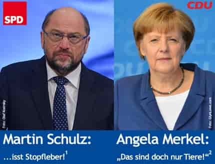 Angela Merkel, Merkel, Martin Schulz, Schulz, SPD, CDU, Tierschutz