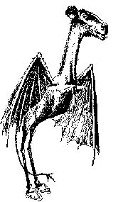 Jersey Devil, Teufel von New Jersey, Krpytozoologie