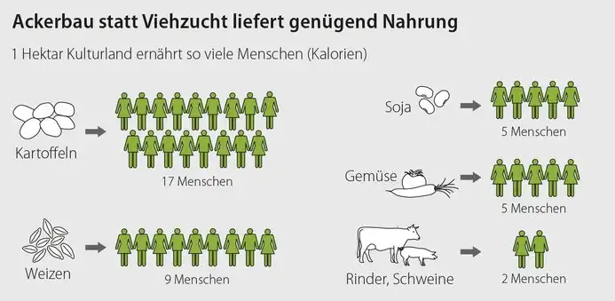 Vegan, Ernaehrung, Fleisch, Pflanzlich, Alternativ